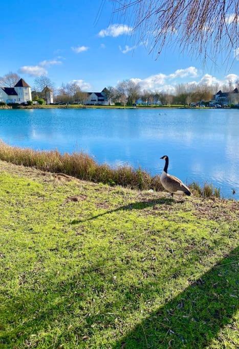 Emerald Lake House South Cerney Luaran gambar